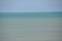 Wind surf solitário nos mares de Jericoacoara - CE